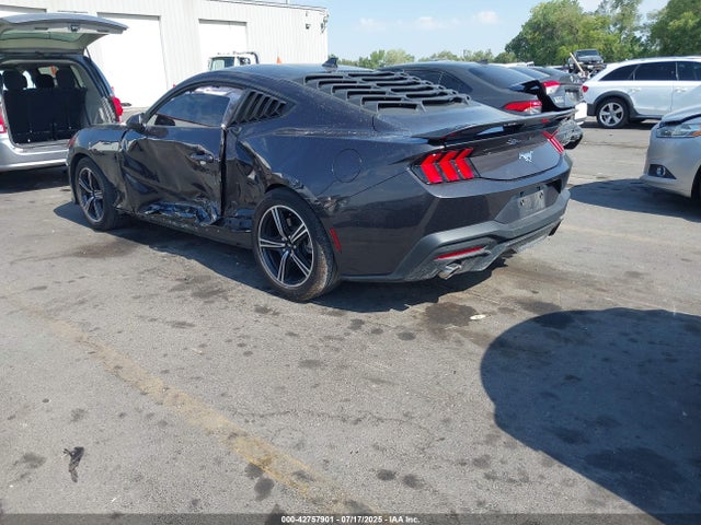 Ford 4v 2024 1FA6P8TH9R5129785 Image 3