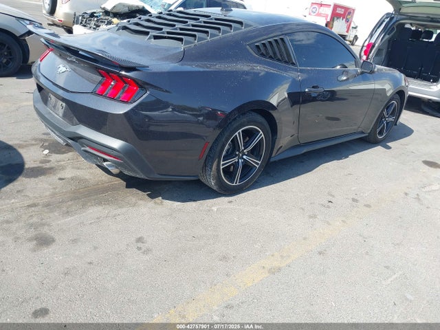 Ford 4v 2024 1FA6P8TH9R5129785 Image 4