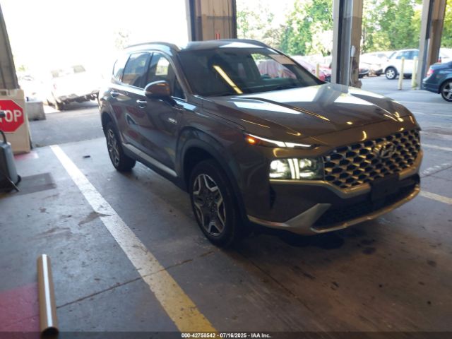 2023 HYUNDAI SANTA FE PLUG-IN HYBRID KM8S7DA21PU067166