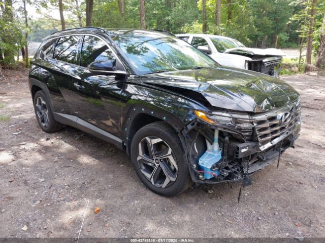 2023 HYUNDAI TUCSON HYBRID KM8JECA11PU086738