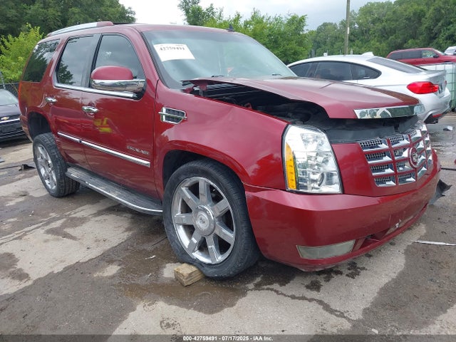 2010 CADILLAC ESCALADE 1GYUKBEF2AR137842 Photo 0