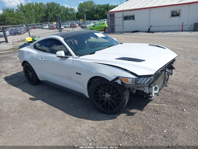 Ford 5.0l 4v premium fuel 2017 1FA6P8CF8H5332597 Image 1