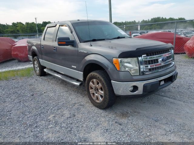 2013 FORD F-150 1FTFW1ET0DFC39343