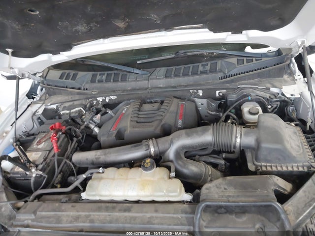 Ford gtdi 2020 1FTFW1RGXLFB20193 Image 10