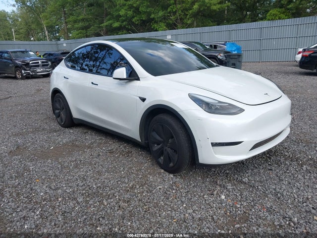 2023 TESLA MODEL Y 7SAYGDED7PF922913 Photo 0