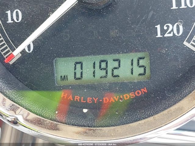 2009 HARLEY-DAVIDSON FXCWC 1HD1JK5169Y015176 Photo 6