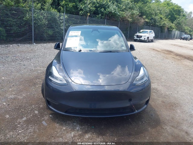 Tesla 2024 2024 7SAYGDEE4RA225613 Image 12