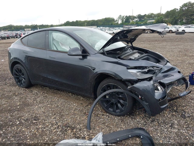 2024 TESLA MODEL Y 7SAYGDEE1RA225634 Photo 0