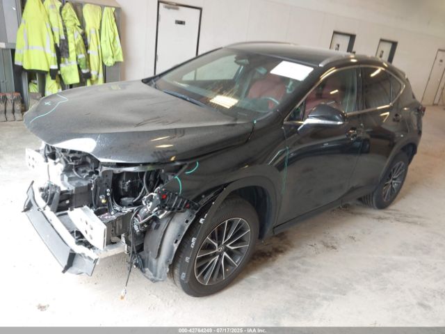 2024 LEXUS NX 350 2T2AGCEZ8RC056680 Photo 1