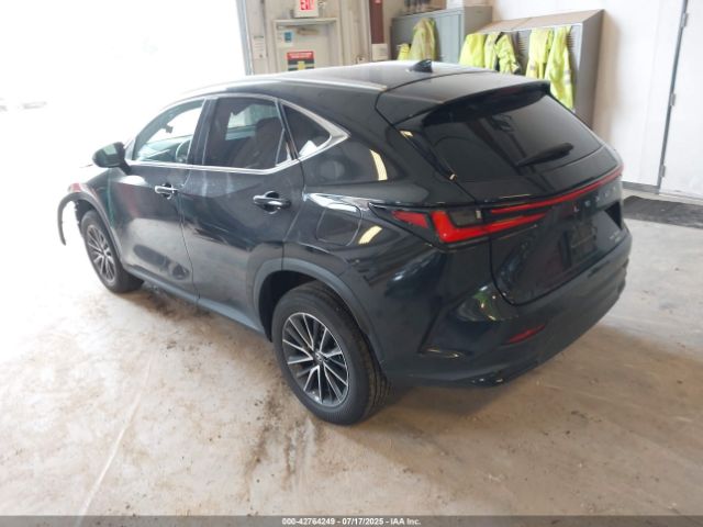 2024 LEXUS NX 350 2T2AGCEZ8RC056680 Photo 2