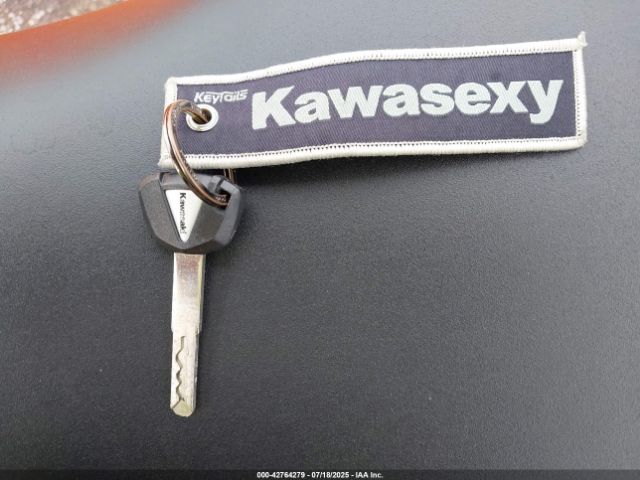 2024 KAWASAKI EX650 ML5EXER17RDAD4204 Photo 10