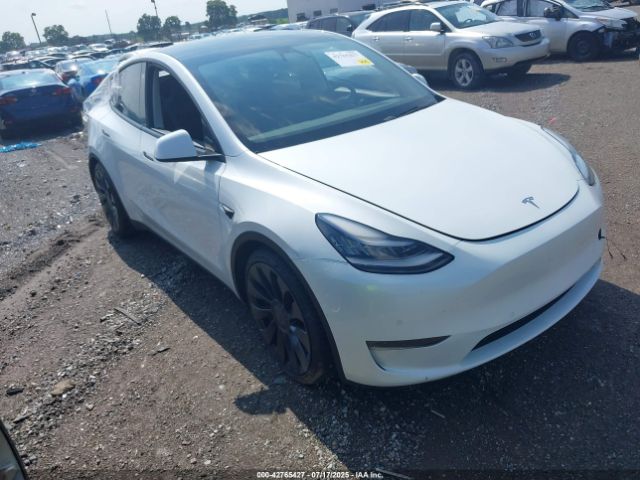 2021 TESLA MODEL Y 5YJYGDEF2MF075485 Photo 0