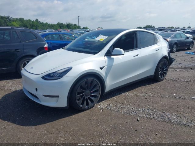 2021 TESLA MODEL Y 5YJYGDEF2MF075485 Photo 1