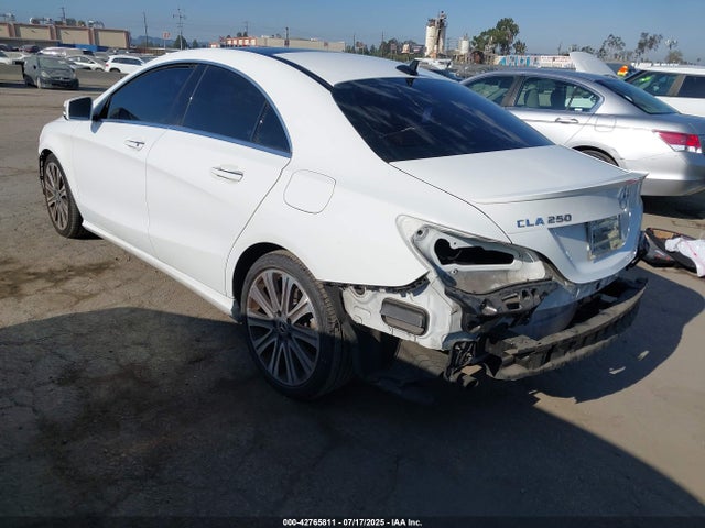 Mercedes-Benz m270 2019 WDDSJ4EB9KN729245 Image 3