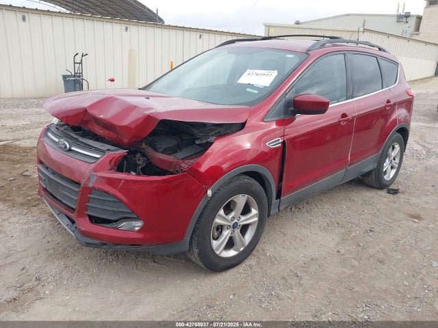 1FMCU0G90EUE25509 Ford Escape