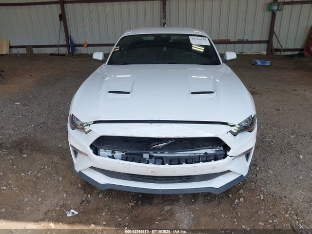 Ford 4v 2022 1FA6P8TH9N5136651 Image 13
