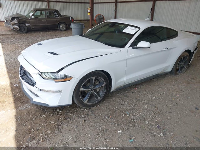 Ford 4v 2022 1FA6P8TH9N5136651 Image 2