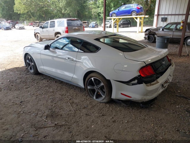 Ford 4v 2022 1FA6P8TH9N5136651 Image 3
