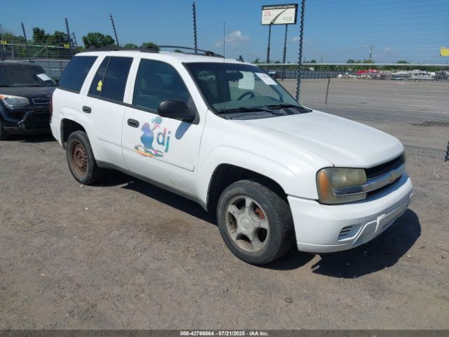 2007 CHEVROLET TRAILBLAZER 1GNDS13S072117999