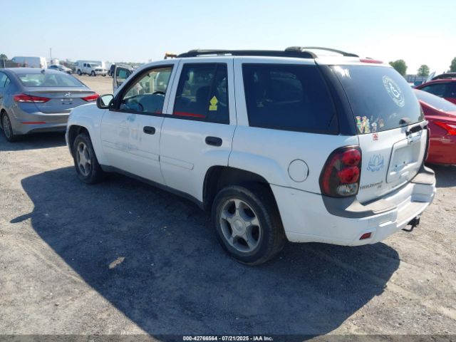 2007 CHEVROLET TRAILBLAZER 1GNDS13S072117999 Photo 2