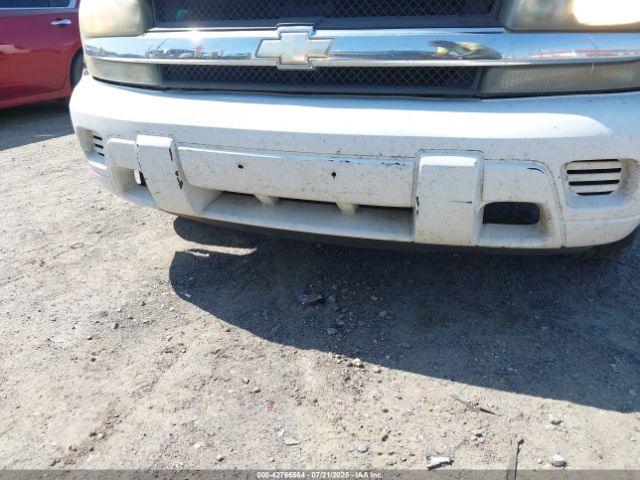 2007 CHEVROLET TRAILBLAZER 1GNDS13S072117999 Photo 5