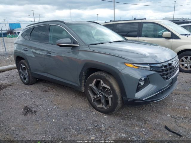 2024 HYUNDAI TUCSON 5NMJECDE5RH348774