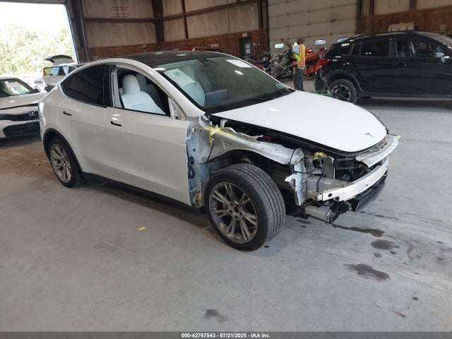 2021 TESLA MODEL Y 5YJYGDEE8MF069164 Photo 0