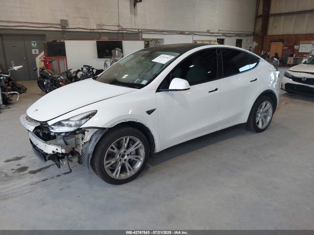2021 TESLA MODEL Y 5YJYGDEE8MF069164 Photo 1