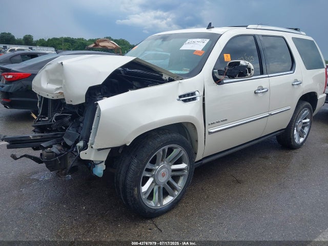 2013 CADILLAC ESCALADE 1GYS4DEF6DR329072 Photo 1