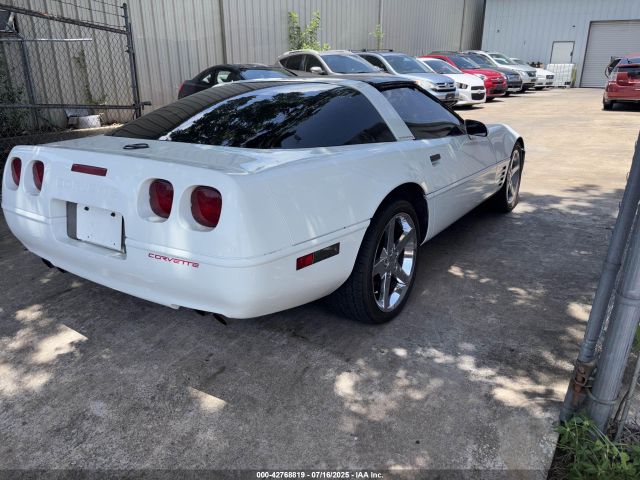 1991 CHEVROLET CORVETTE 1G1YY2383M5109708 Photo 3