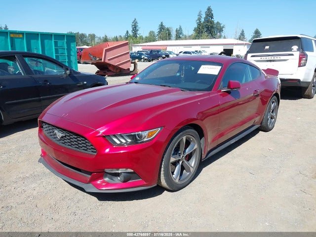1FA6P8AM1G5225956 Ford 2016