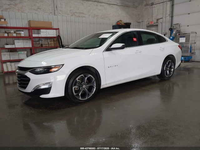 1G1ZD5STXPF227969 Chevrolet lfv
