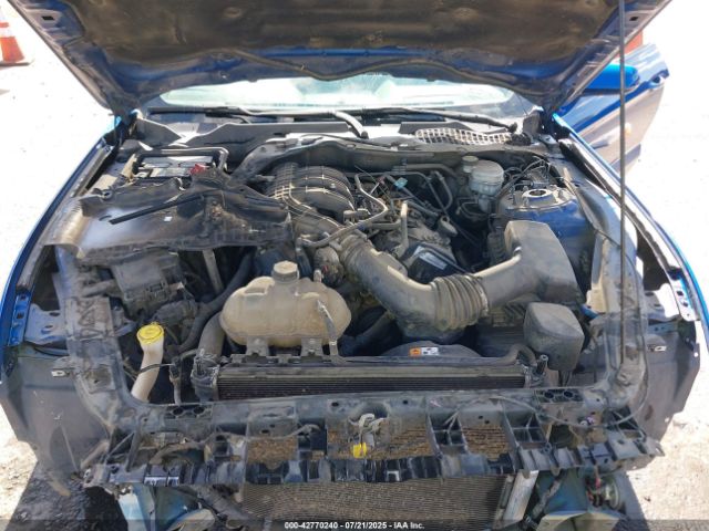 2017 FORD MUSTANG 1FA6P8AM1H5323841 Photo 9