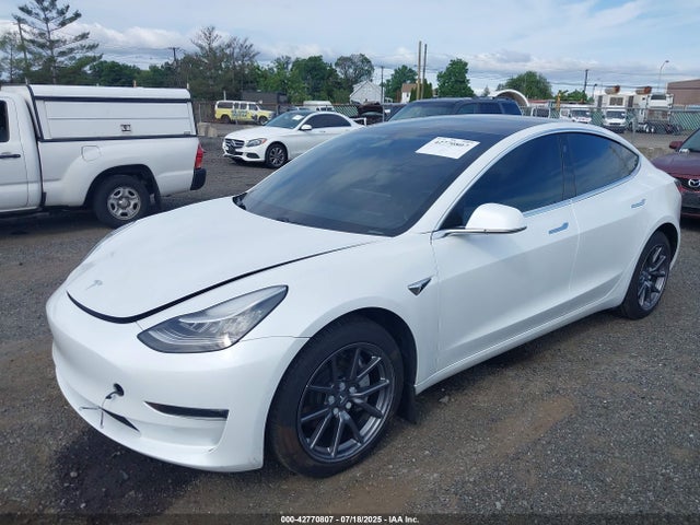Tesla MODEL 3 2020 5YJ3E1EB9LF795134 Image 2