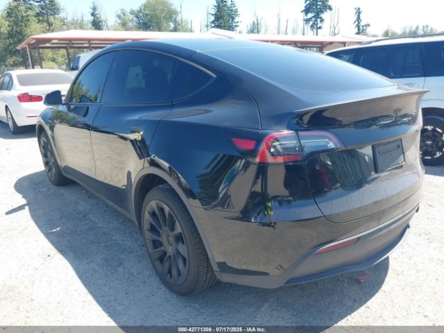 2023 TESLA MODEL Y 7SAYGDEE8PF947747 Photo 2