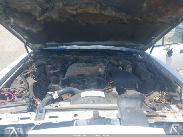 1988 LINCOLN TOWN CAR 1LNBM82F6JY657266 Photo 9