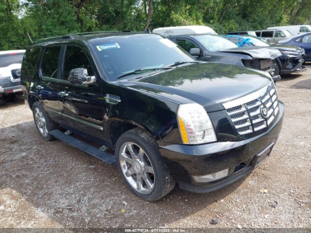 2010 CADILLAC ESCALADE 1GYUKCEF6AR154018