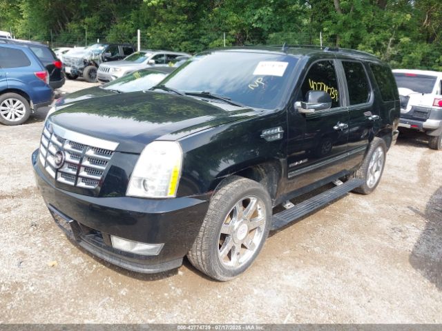2010 CADILLAC ESCALADE 1GYUKCEF6AR154018 Photo 1