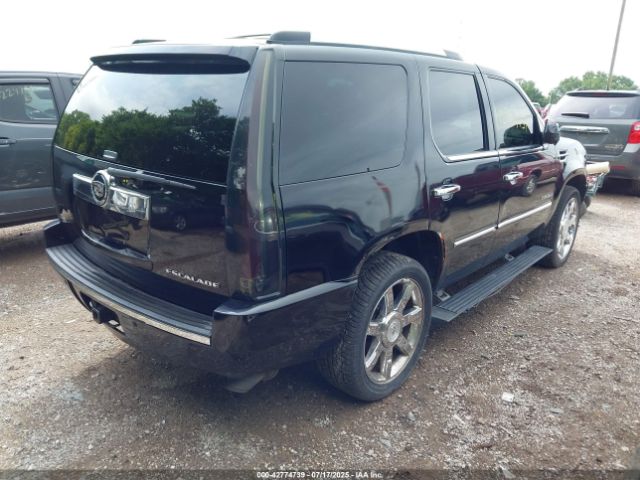 2010 CADILLAC ESCALADE 1GYUKCEF6AR154018 Photo 3