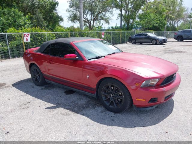 2011 FORD MUSTANG 1ZVBP8EM0B5101296