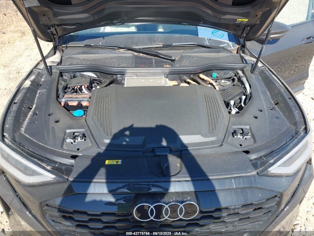 2024 AUDI Q8 E-TRON WA15AAGE7RB063294 Photo 9