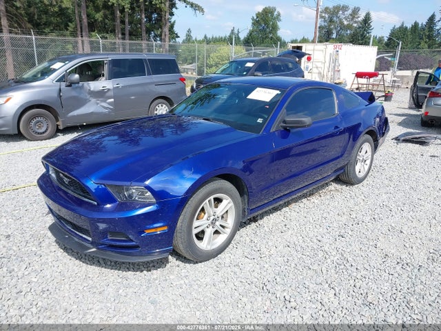 1ZVBP8AM4E5278508 Ford 2014