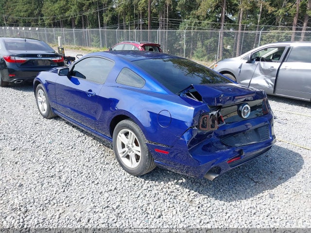 1ZVBP8AM4E5278508 Ford 2014