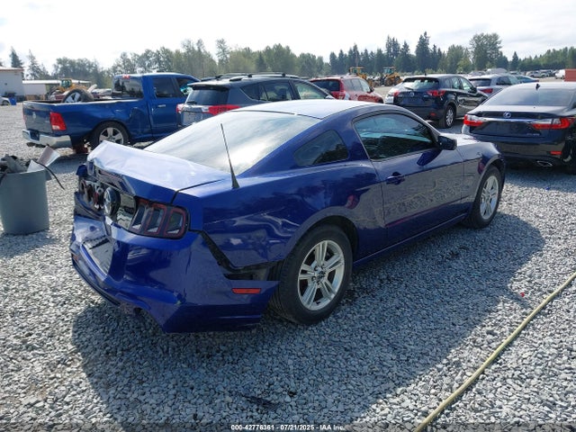 1ZVBP8AM4E5278508 Ford 2014