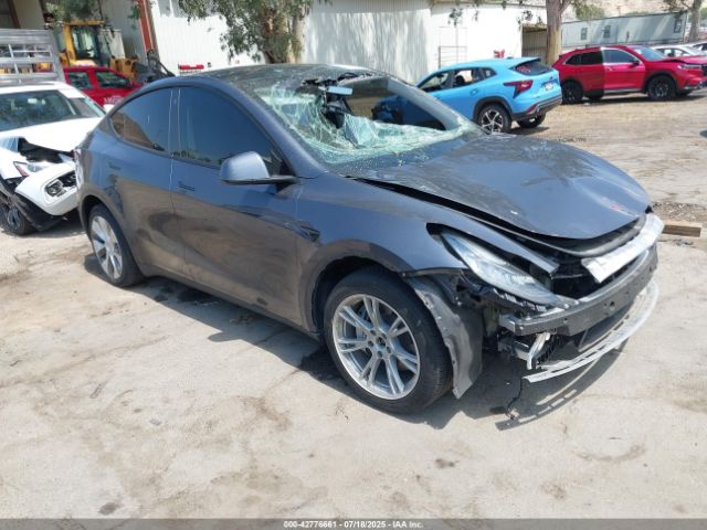2023 TESLA MODEL Y 7SAYGDEE4PA079534