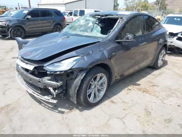 2023 TESLA MODEL Y 7SAYGDEE4PA079534 Photo 1
