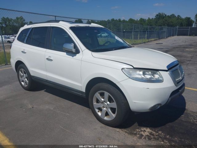 2009 HYUNDAI SANTA FE 5NMSH13E09H276514