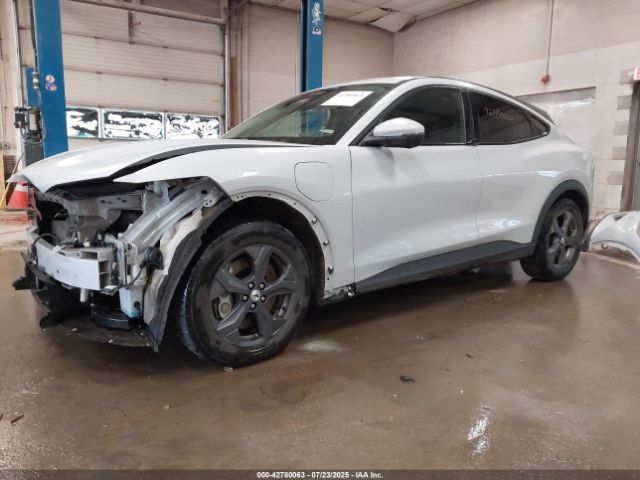 2021 FORD MUSTANG MACH-E 3FMTK1SS5MMA59815 Photo 1