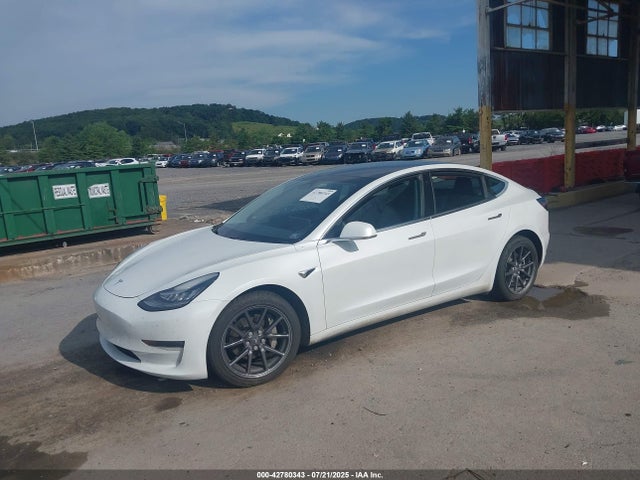2020 TESLA MODEL 3 5YJ3E1EB5LF665495 Photo 1