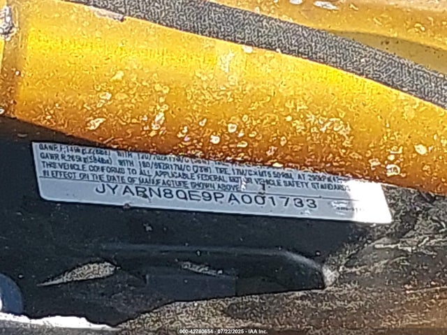 JYARN80E9PA001733 Yamaha Mtm890 (xsr900)